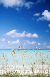 Harbour Island in the Bahamas has a beach with pink sand.