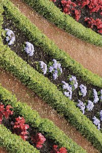 Lime can help your garden grow.