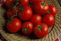 Seedless tomatoes provide more fruit with less juice.