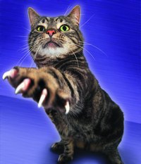 Learn how to make retractable cat claws to add realism to a cat costume.