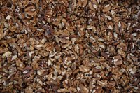 Walnut trees are prized for their wood and edible nuts.