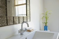 Dracaenas perform best in bright, indirect light.