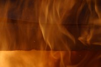 Fireproof carpets help stop fires from spreading.