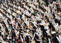 College sports directors help ensure that fans have reason to attend games.
