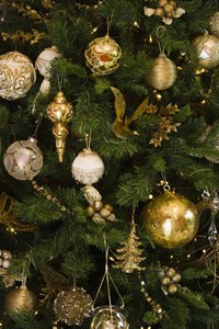 Regular watering will keep your tree green longer.
