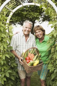 Inexpensive organic fertilizer for vegetables can be made at home.