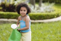 Early-morning watering gets everyone up and outside.