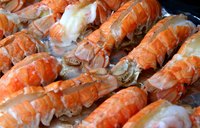 Fresh lobster tails on ice in a seafood market.