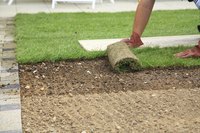 A gardener lays down new sod.