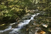 Boulder walls can help prevent erosion in fast-running streams.