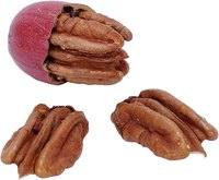 Pecans grow well in Florida.
