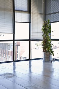 Duettes are a premier honeycomb window shade.