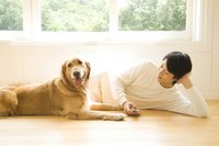 Owner lying on the floor next to dog