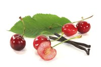 Each cherry fruit contains one cherry pit.