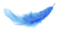 Fabric dyes or drink mixes can be used to tint feathers.