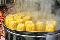 Steamed Corn