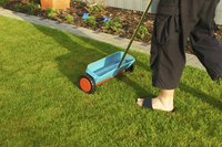 A lawn spreader ensures an even application of lime.