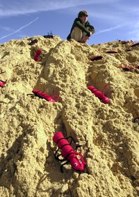 Fire ants are one type of insect that causes dirt mounds.