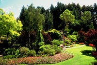 Landscape maintenance can be expensive or time consuming for landlord or tenant.