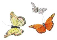 Use a simple toilet paper tube and other craft items to make your own butterfly model.
