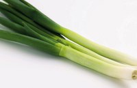 Dark green and firm leaves on scallions indicate freshness.