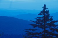 Skyline Drive follows the crest of Virginia's Blue Ridge Mountains.