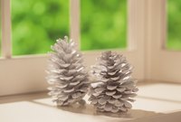 Set decorated pine cones in candlesticks to hold them in an upright tree position.