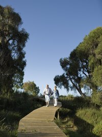 A wood walkway is more environmentally friendly than asphalt or concrete.