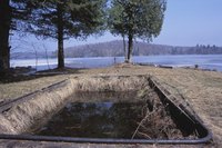 An old pool may support waterborne pests.
