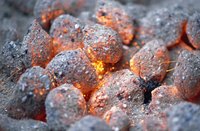 Discard old charcoal briquette ash away from plants, as it contains toxins.