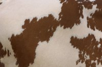 Create either brown or black spots on white microfiber for a DIY cow skin rug.