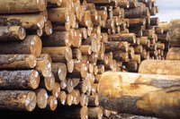 Stacked piles of lumber at sawmill