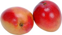 There are more than 500 named varieties of mango.