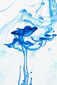 Miracle-Gro must be mixed until all the water is an even blue.
