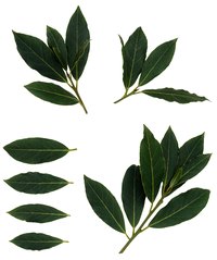 Bay leaves are the most common leaves used in laurels.