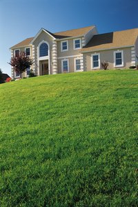 Raised ranch homes require a little more thought in landscaping.