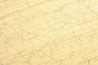 Distress canvas with varnishes and abrasion.