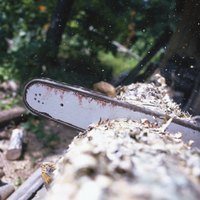 Cutting timber too big for the saw puts extra strain on the motor.