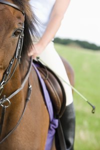 Give your horse's bridle some personality.