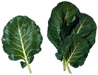 Collard greens can taste bitter if not cooked down enough.
