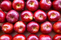 Apple butter is like concentrated apple sauce that lasts longer.