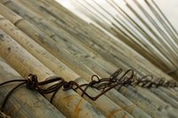 Bamboo is a hollow grass that can be cut and shaped into boards.