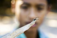 Spiders can lay eggs and settle into your home unless you take action.