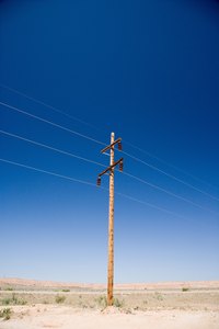 Planting a vine to grow up an electrical pole is not an option.