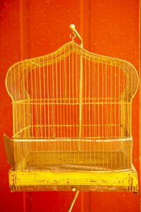A birdcage can hang from a stand or chain attached to the ceiling.
