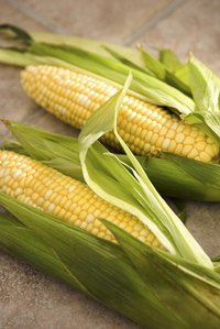 Fresh corn on the cob freezes well.