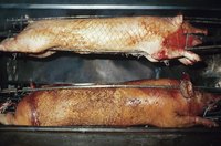Rotisserie grills are able to cook whole hogs if necessary.