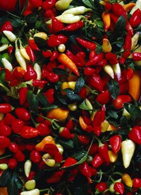 Peppers have a stunning degree of genetic diversity.
