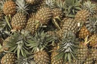 Canned crushed pineapple preserves fresh pineapple in either water, juice or syrup for a longer shelf-life.