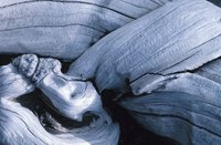 Prepare your piece of driftwood for use in an artistic sculpture or other craft.
